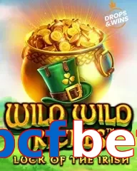 bcfbet